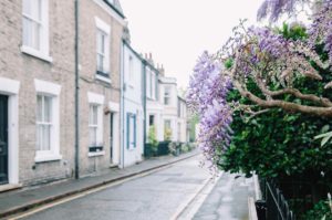 photoofwisteria