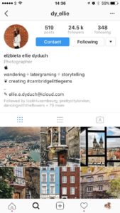Instagram Bio Example