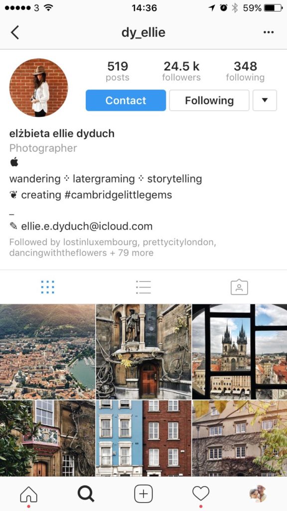Instagram Bio Example