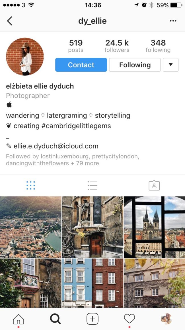 Instagram Bio Example Savitri Wilder