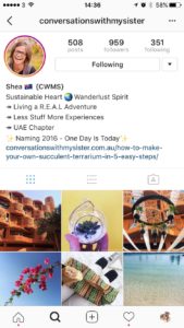 Instagram Bio Example