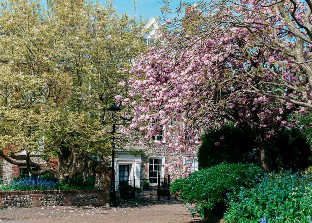 Savitri Wilder: Pretty Norwich
