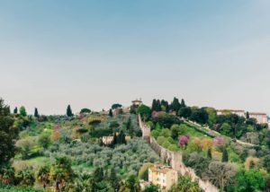 Firenze