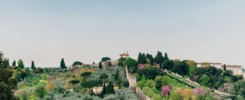 Firenze