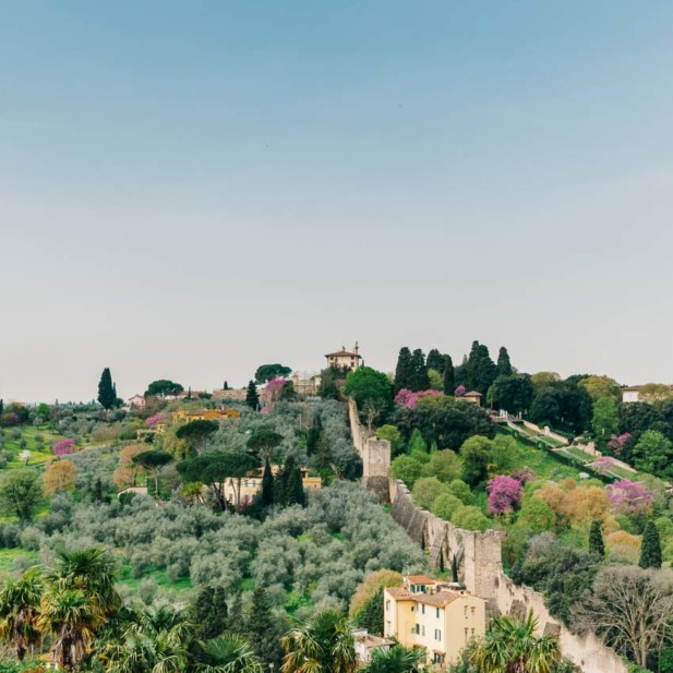 Firenze
